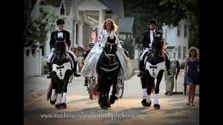 Mackinac Islands Festival Of the Horse [upl. by Nihsfa813]