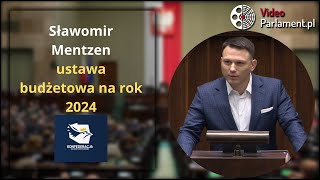 Sławomir Mentzen  ustawa budżetowa na rok 2024 [upl. by Alisha]