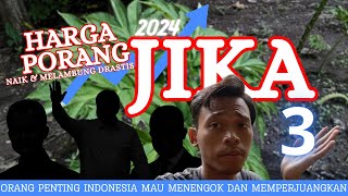 Harga porang 2024 naik dan melambung drastis jika  Bagaimana naib petani porang 2024 [upl. by Mohammed]