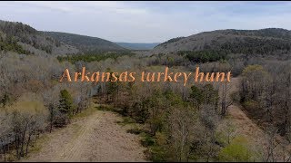 Arkansas public land turkey hunt [upl. by Delly279]