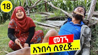 አንበሳ ሲያረጅ 😂😂😂 መገን 18  ቅመም ጎሽሜ [upl. by Nalim]