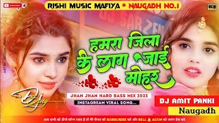 Hamare Jila ke Lag Jaaye Mohar Dj remix new song bhojpuri 2024 Dj Raj Kumar Matiyariya Dholki mix Dj [upl. by Merriman462]