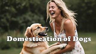 Domestication of Dogs Throughout History [upl. by Llert923]