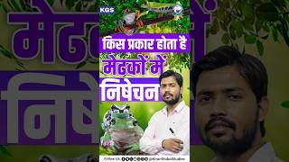 किस प्रकार होता है मेढ़को में निषेचन जानिए Khan Sir से l frog khanglobalstudies khansir science [upl. by Lleda21]