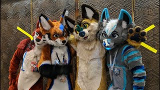 Fursuit unboxing Furnal Equinox FurTheWinStudio [upl. by Allekim]