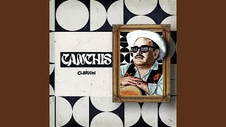 Canchis canchis [upl. by Crocker]