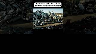 Are Maximals and Dinobots RelatedSince They Both Transform into Beastsmovie [upl. by Atreb]