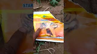 STARTHENE POWER insecticideacephate 50imidacloprid18sp [upl. by Jarlen]