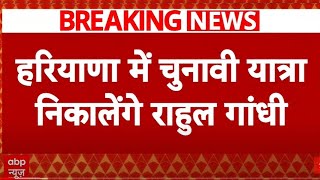 Breaking News  Haryana Election के दौरान चुनावी यात्रा निकालेंगे Rahul Gandhi  Congress [upl. by Nnaynaffit]