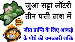 जुआ सट्टा लॉटरी तीन पत्ती ताश में जीत प्राप्ति के लिए आकड़े के पौधे की चमत्कारी शक्ति  Bgv [upl. by Id]