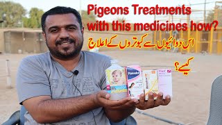 Pigeons treatment this medicine How to useKabtron k mukhtalif bimaryon ka illajEnglish Subtitle [upl. by Sarson]