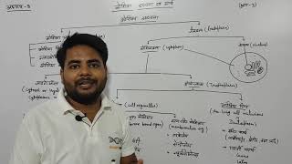 अध्याय8 कोशिका संरचना एवं कार्य भाग 3 कक्षा 11 जीवविज्ञान  chapter 8 cell structure [upl. by Epolulot105]