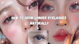 How to Grow Longer Eyelashes Naturally in Just One Week  Top Tips for Fuller Lashes longlashes [upl. by Melvena]