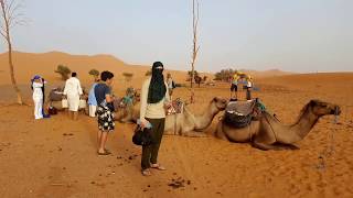 Merzouga 3 Days2 Nights From Marrakech  Morocco Desert Tour [upl. by Trumann]