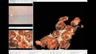 Micro AUV Online 3D Reconstruction using Stereo Vision [upl. by Abibah]