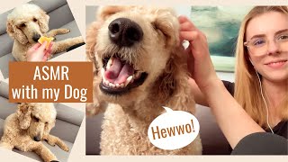 ASMR WITH MY DOG  Taste Test amp Hair Brushing 🐶 [upl. by Carrie]