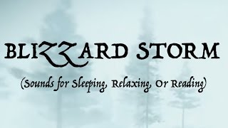 ❄️SOUNDS OF A BLIZZARD STORM Sleep Relax Or Read [upl. by Atilrak]