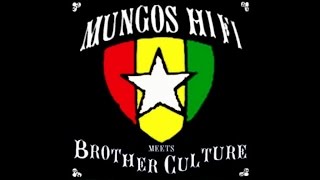 Mungos Hi Fi  Flagpole dub ft Brother Culture [upl. by Alyt419]