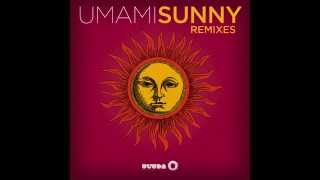 Umami  Sunny U So Witty Remix Cover Art [upl. by Hawger]