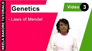 Genetics  Principles of Inheritance amp Variations  NEET  Laws of Mendel  Neela Bakore Tutorials [upl. by Anohr106]