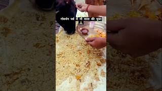 गोवर्धन पर्व में गौ माता की पूजा 🙏 vlog food chhattisgarh shorts diwali culture [upl. by Eiroc]