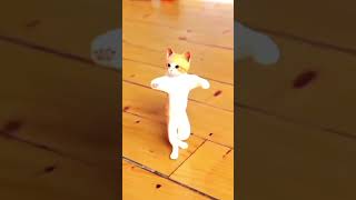 Cat dance video 🥰 dance song cat cat cat [upl. by Helena]