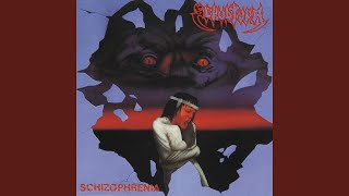 Intro Schizophrenia [upl. by Auroora]