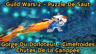 GUILD WARS 2  TUTO  PUZZLE DE SAUT  GORGE DU DORLOTEUR [upl. by Coats]