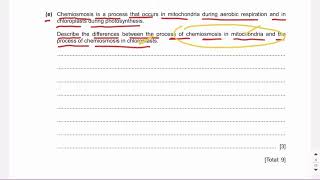 Chemiosmosis  Mitochondria vs chloroplast  A2 Biology [upl. by Belle]