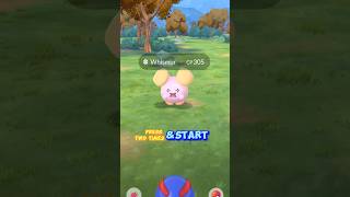 A wild Whismur has appeared Play Catch me by pressing two times pokemon pokemongo pokemongame [upl. by Kablesh]