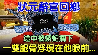 明朝民間故事：狀元辭官回鄉，途中被蟒蛇攔下，一雙腿骨浮現在他眼前 [upl. by Bergh106]