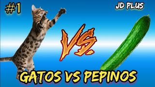 GATOS Vs PEPINOS 2020  PRIMERA PARTE [upl. by Lorenzana]