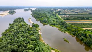 Wild Vistula river and forest near Warsaw city in Poland  Drone aerial view [upl. by Eenaej]