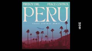 Fireboy DML  Peru Peace Control Remix [upl. by Kadner]