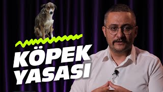 SOKAK KÖPEKLERİ YASASI Çok Hızlı Gündem S1E114 [upl. by Ahsratal304]