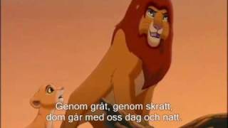 Lejon kungen 2 Vi är en Med text Lion King 2 We are one Swe laug and text [upl. by Notnilk234]