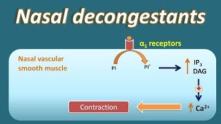 Nasal decongestant  How they act [upl. by Claudine714]