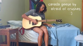 afraid of crushes  canada geese cover ft the impeccable VLTone [upl. by Gonroff]