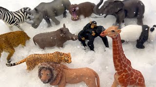 Finding Zoo Animal Toys Buried in the Snow [upl. by Skees]