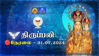 🔴 LIVE  Holy Mass in Tamil  31st July 2024  Annai Vailankanni Shrine  Besant Nagar Annai [upl. by Nymrak]