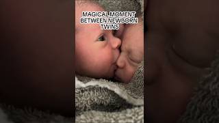 ✨Magical✨ I would birth twins to see this 🥹 SOUND ON [upl. by Aidualc641]