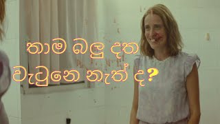 Dogtooth 2009 Movie Explained in Sinhala [upl. by Schroer]