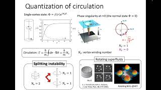 Hiromitsu Takeuchi Isolated Fractional Skyrmions in a Magnetic Quantum Gas [upl. by Carrew]