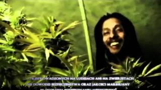 Julian Marley  Boom Draw Polskie Napisyavi [upl. by Silloc]