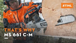 STIHL MS 661 CM  Chainsaw Cuttingedge technology  Thats why [upl. by Aihtela]