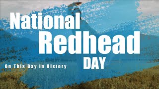 November 5th is National Redhead Day On This Day [upl. by Lahey]