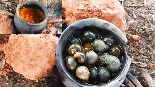 Snails Curry  Snails Catch n Cook in Pot  Escargot Stew and Eat  Escargot Recipe in Village [upl. by Parthenia294]