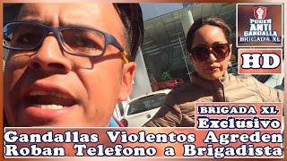 Gandallas Violentos Agreden y Roban a Brigadista LadyLadrona Video Exclusivo BRIGADA XL [upl. by Dierolf]