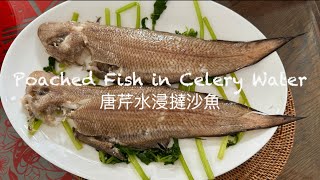 Poached Fish in Celery Water  唐芹水浸撻沙魚 [upl. by Yelrahc]