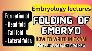 Folding of embryo  General embryology [upl. by Cleti]